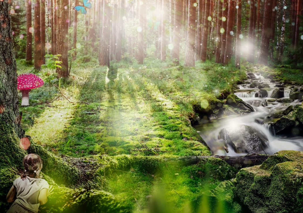 Gladaskogen utan älvan_TOM